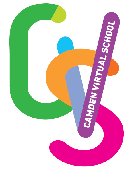Camden Virtual School Logo